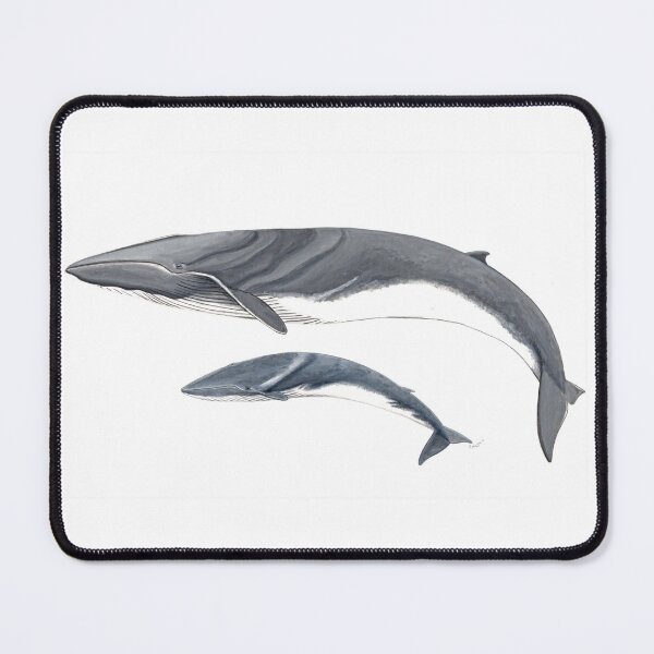 Item preview, Fin whale with calf designed and sold by chloeyzoard.