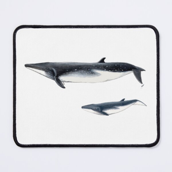 Item preview, Bryde´s Whale with calf designed and sold by chloeyzoard.