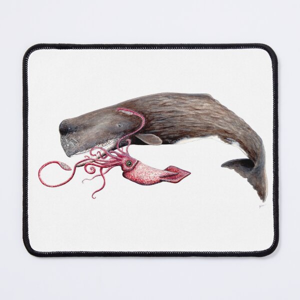 Item preview, Sperm whale and squid battle designed and sold by chloeyzoard.
