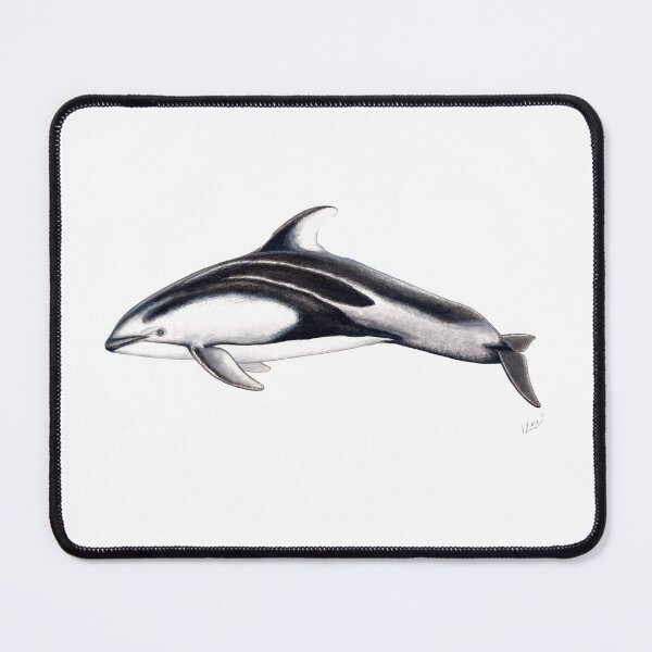 Item preview, Pacific white-sided dolphin designed and sold by chloeyzoard.