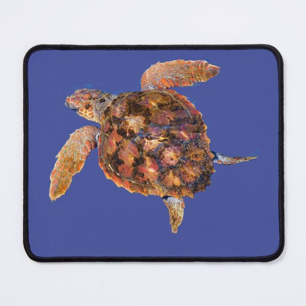 Item preview, Loggerhead turtle designed and sold by chloeyzoard.