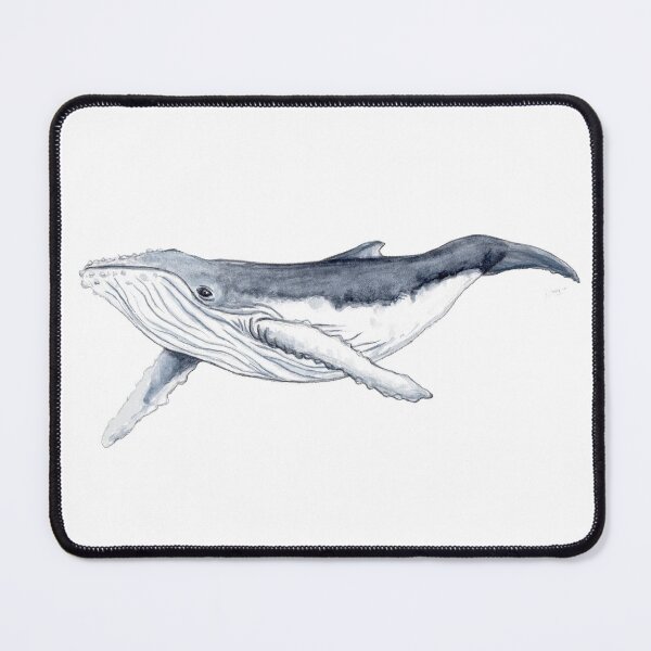 Item preview, Humpback whale baby designed and sold by chloeyzoard.
