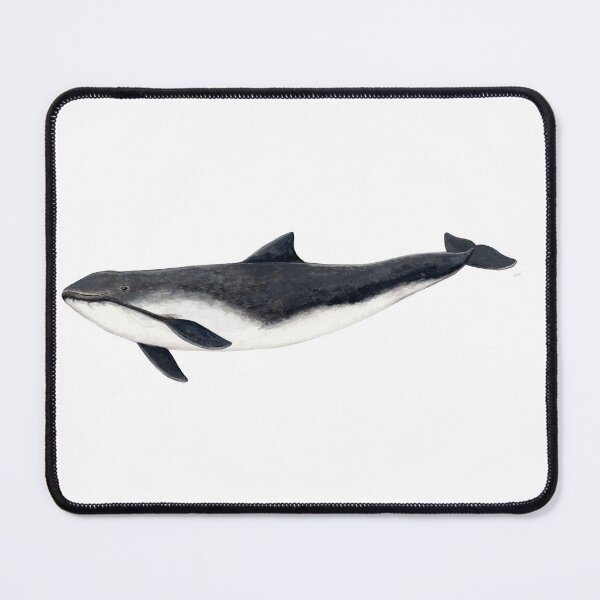 Item preview, Harbour porpoise  designed and sold by chloeyzoard.
