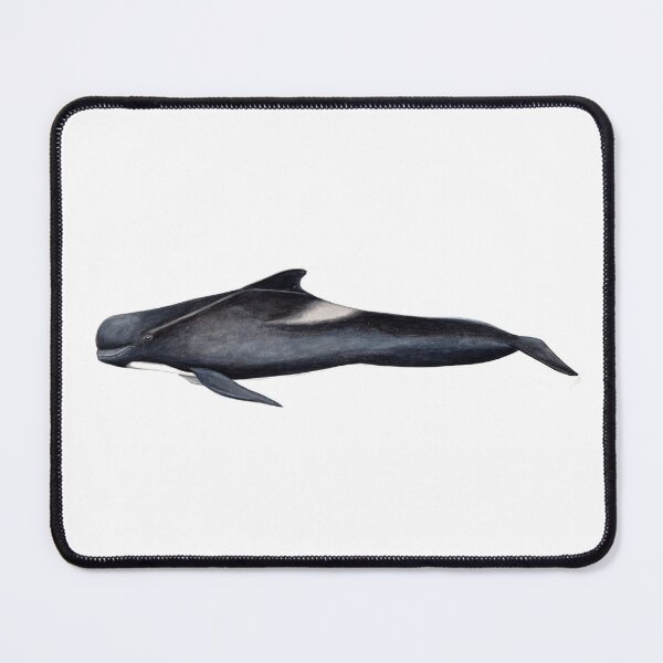 Item preview, Long-finned pilot whale designed and sold by chloeyzoard.