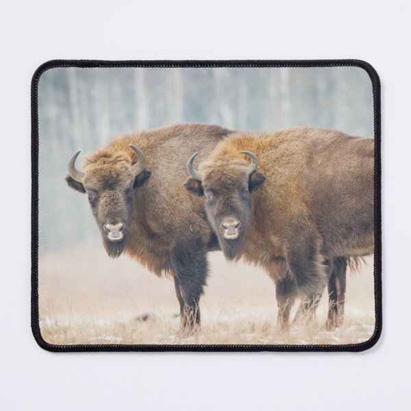 Item preview, Copy-Paste designed and sold by Dominika Aniola.