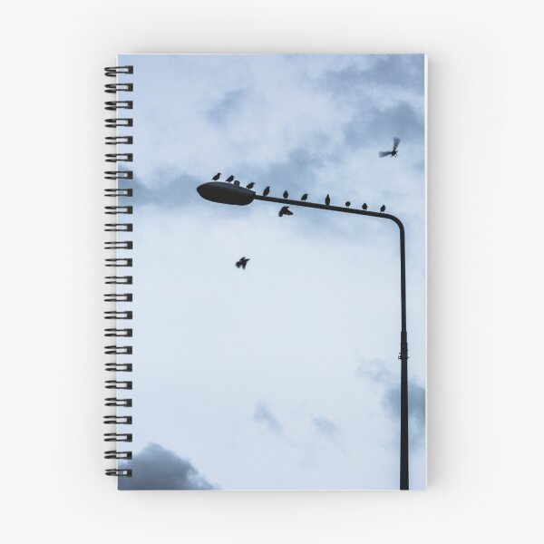 Item preview, Birds on a street lamp. designed and sold by Vratko Benda.