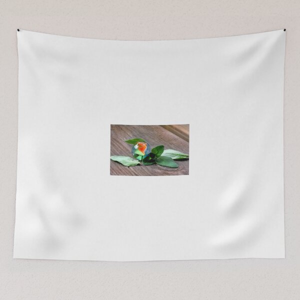 Item preview, Lebensmitteltransparenz designed and sold by SmoothBreeze7 | Liz Collet Photography.