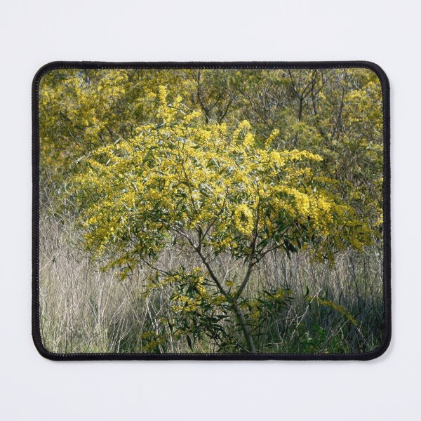 Item preview, Flowering Acacia Tree designed and sold by Anna Lemos.