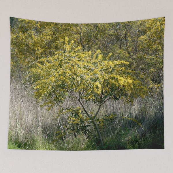 Item preview, Flowering Acacia Tree designed and sold by Anna Lemos.