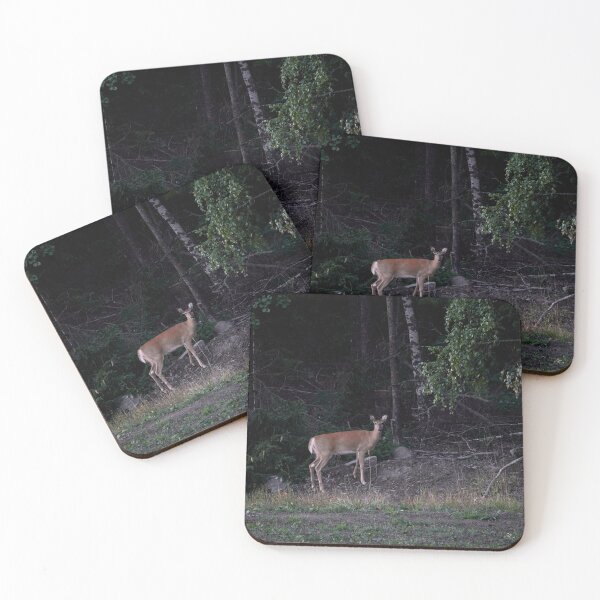 Item preview, Is there a danger or not. White-tailed deer designed and sold by Jouko Lehto Photography.