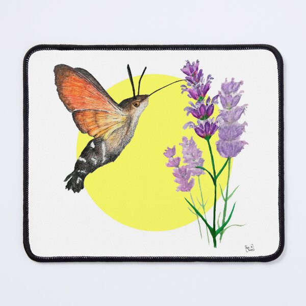 Item preview, Hummingbird sphinx butterfly designed and sold by AguaDeQuisco.