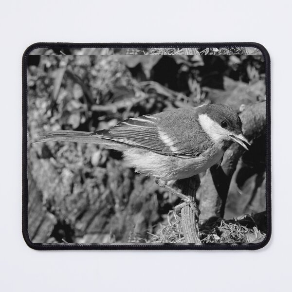 Item preview, r1361/ new finition 2021 Birds 05a - N-B (c)(t) by Olao-Olavia / Okaio Créations designed and sold by o.okaïo.