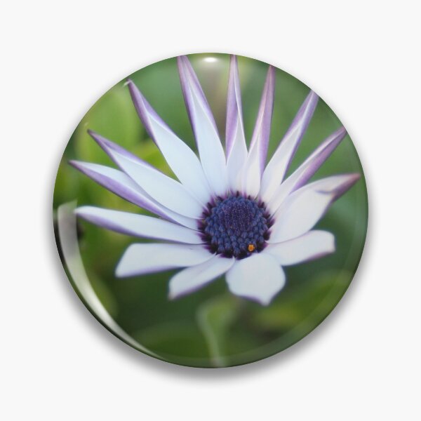 Item preview, Startled African Daisy Flower designed and sold by Anna Lemos.