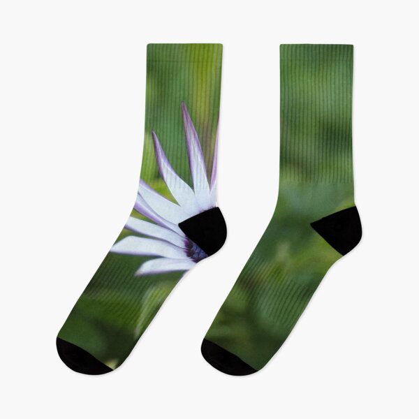 Item preview, Startled African Daisy Flower designed and sold by Anna Lemos.