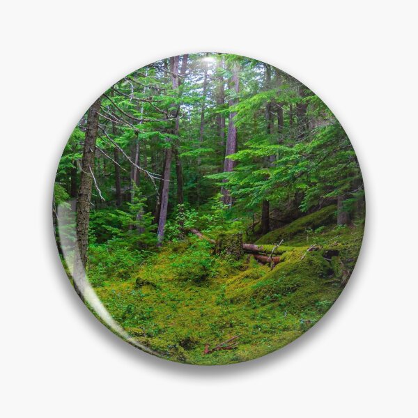 Item preview, Canadian backwoods designed and sold by Dalyndigital Photography.