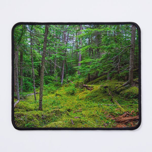 Item preview, Canadian backwoods designed and sold by Dalyndigital Photography.