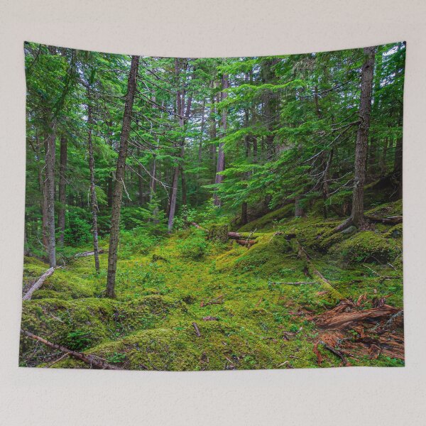 Item preview, Canadian backwoods designed and sold by Dalyndigital Photography.