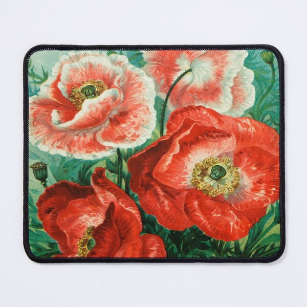 Item preview, Vintage Seed Pack Botanical Art  designed and sold by Joanne Pane.