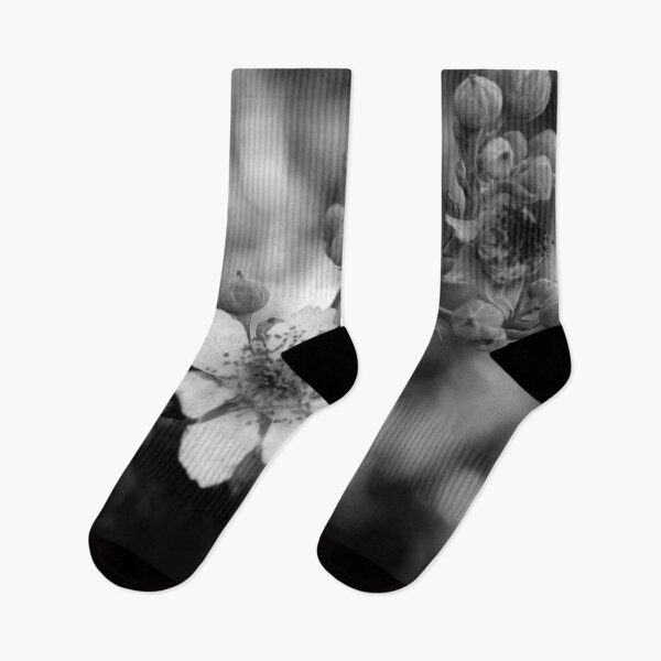 Item preview, Blackberry flower black and white designed and sold by Anna Lemos.