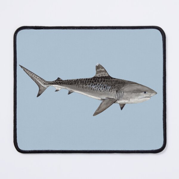 Item preview, TIGER SHARK-Galeocerdo cuvier (light blue) designed and sold by BEATRIZ ABAITUA.