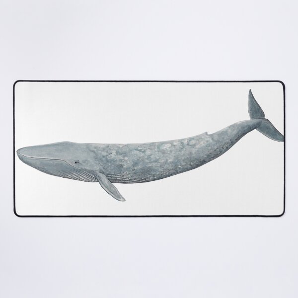 Item preview, Blue whale designed and sold by chloeyzoard.