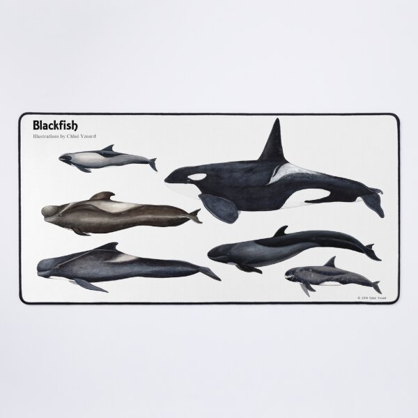 Item preview, Blackfish designed and sold by chloeyzoard.