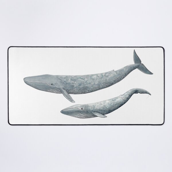 Item preview, Blue whale with baby designed and sold by chloeyzoard.