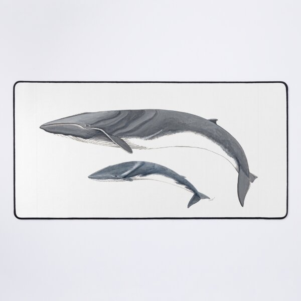 Item preview, Fin whale with calf designed and sold by chloeyzoard.
