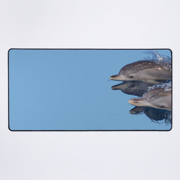 Item preview, Dolphins designed and sold by chloeyzoard.