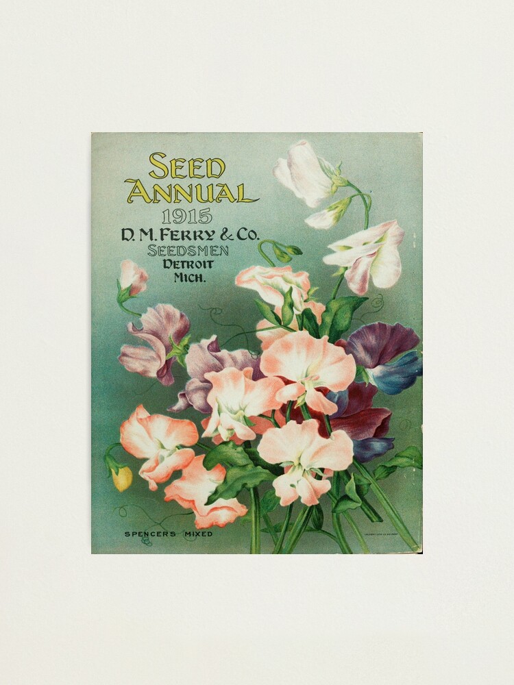 Vintage Seed Pack Botanical Art  Photographic Print for Sale by Joanne  Pane