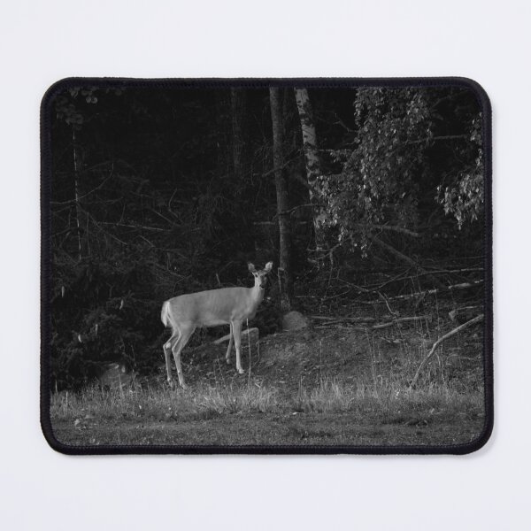 Item preview, Is there a danger or not. White-tailed deer bw designed and sold by Jouko Lehto Photography.