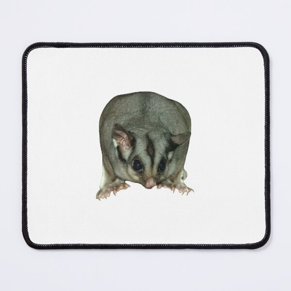 Item preview, Sugar Glider designed and sold by quentinjlang.