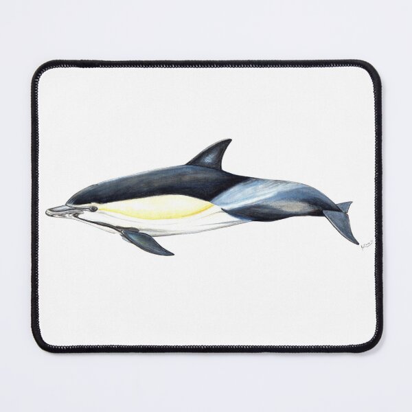 Item preview, Common dolphin designed and sold by chloeyzoard.