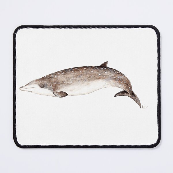 Item preview, Beaked whale designed and sold by chloeyzoard.