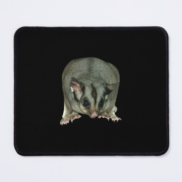 Item preview, Sugar Glider 2 designed and sold by quentinjlang.