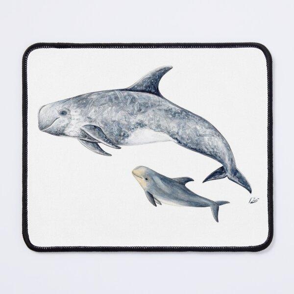 Item preview, Risso´s dolphin designed and sold by chloeyzoard.