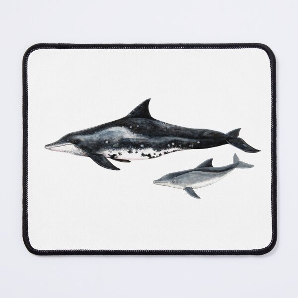 Item preview, Rough toothed dolphin designed and sold by chloeyzoard.