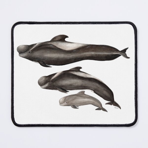 Item preview, Short-finned Pilot whale designed and sold by chloeyzoard.
