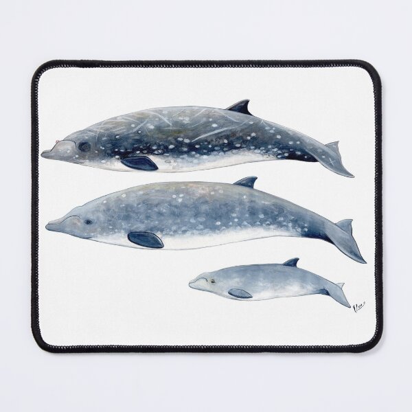 Item preview, Blainville´s Beaked whale designed and sold by chloeyzoard.
