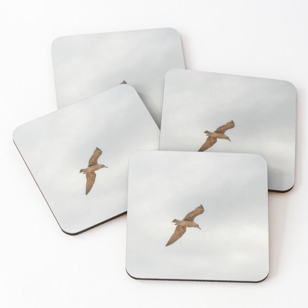 Item preview, Seagull bird flying close-up designed and sold by Anna Lemos.