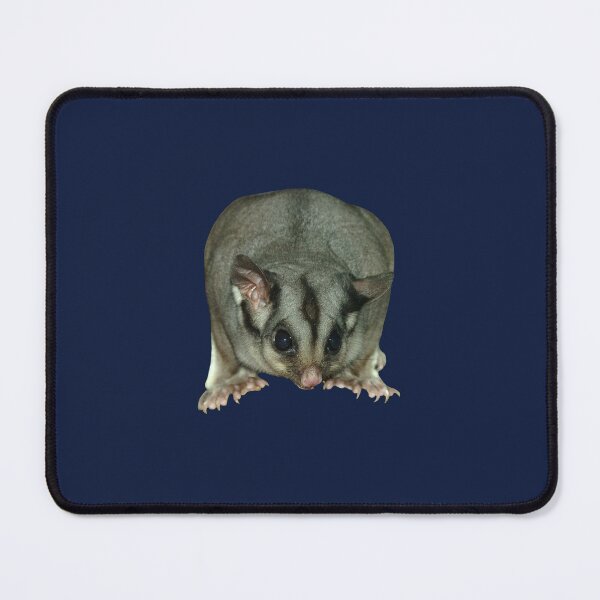 Item preview, Sugar Glider 4 designed and sold by quentinjlang.