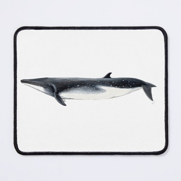 Item preview, Bryde´s Whale designed and sold by chloeyzoard.