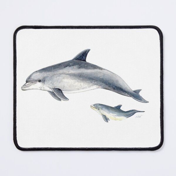 Item preview, Bottlenose dolphin designed and sold by chloeyzoard.