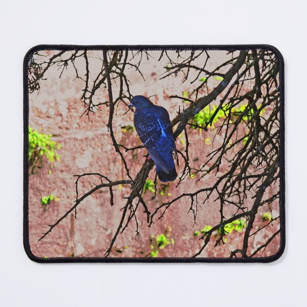 Item preview, Blue Pigeon Pink Wall Bare Tree  designed and sold by Anna Lemos.