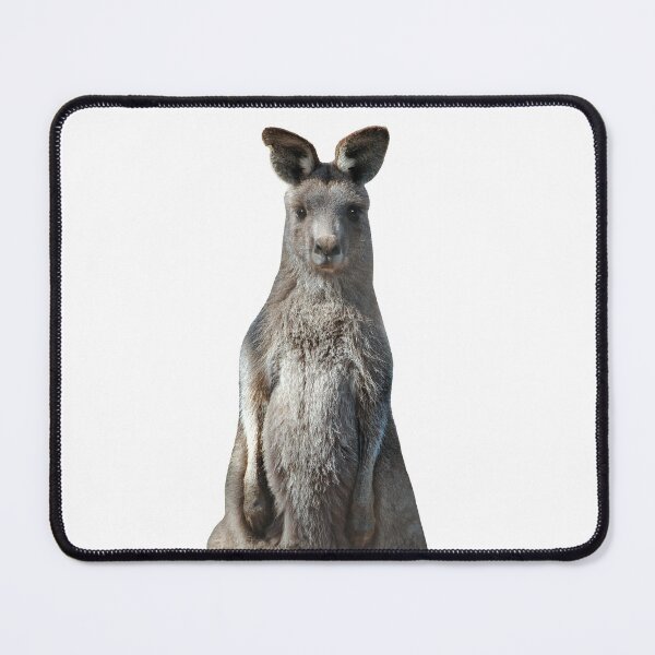 Item preview, Kangaroo 2 designed and sold by quentinjlang.