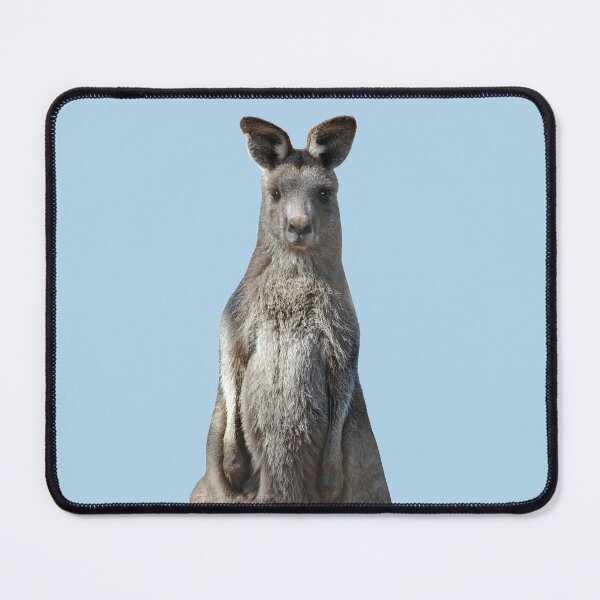 Item preview, Kangaroo 3 designed and sold by quentinjlang.