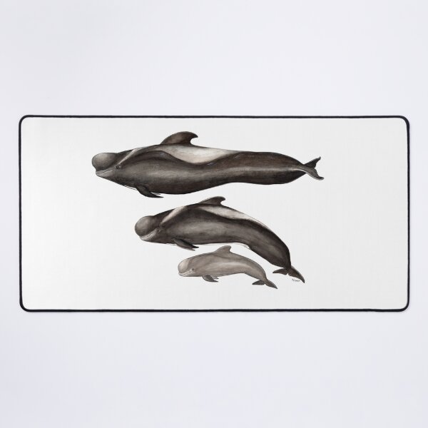Item preview, Short-finned Pilot whale designed and sold by chloeyzoard.