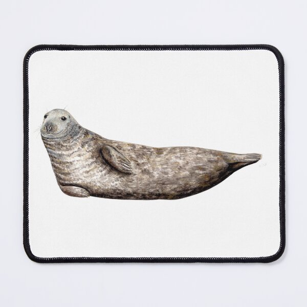 Item preview, Grey seal designed and sold by chloeyzoard.