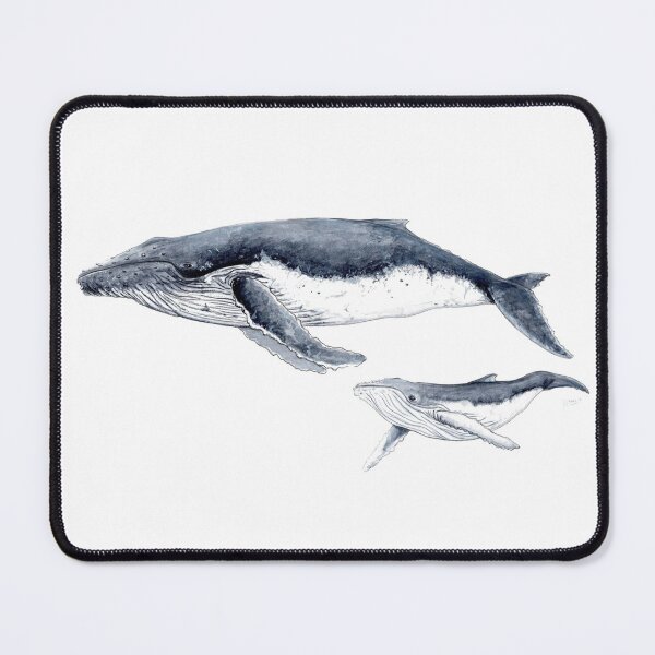 Item preview, Humpback whale designed and sold by chloeyzoard.