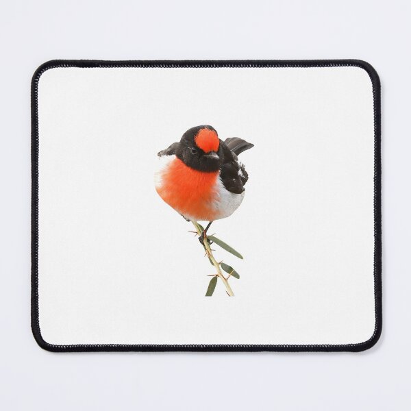 Item preview, Red-capped Robin 10 designed and sold by quentinjlang.